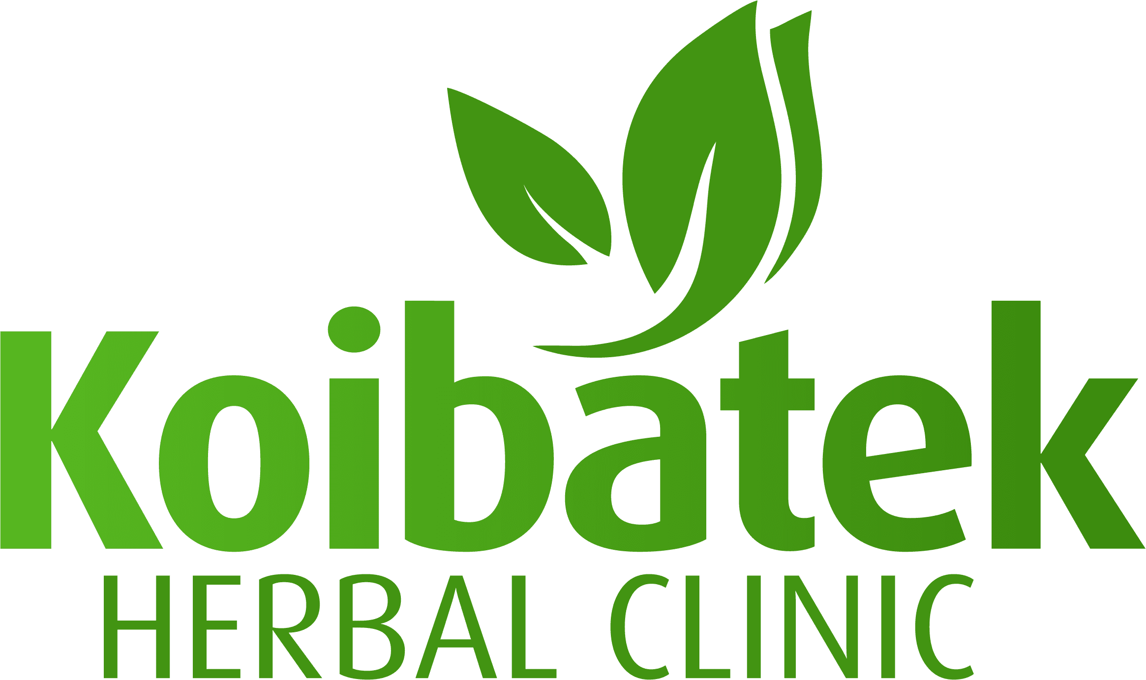 Koibatek logo
